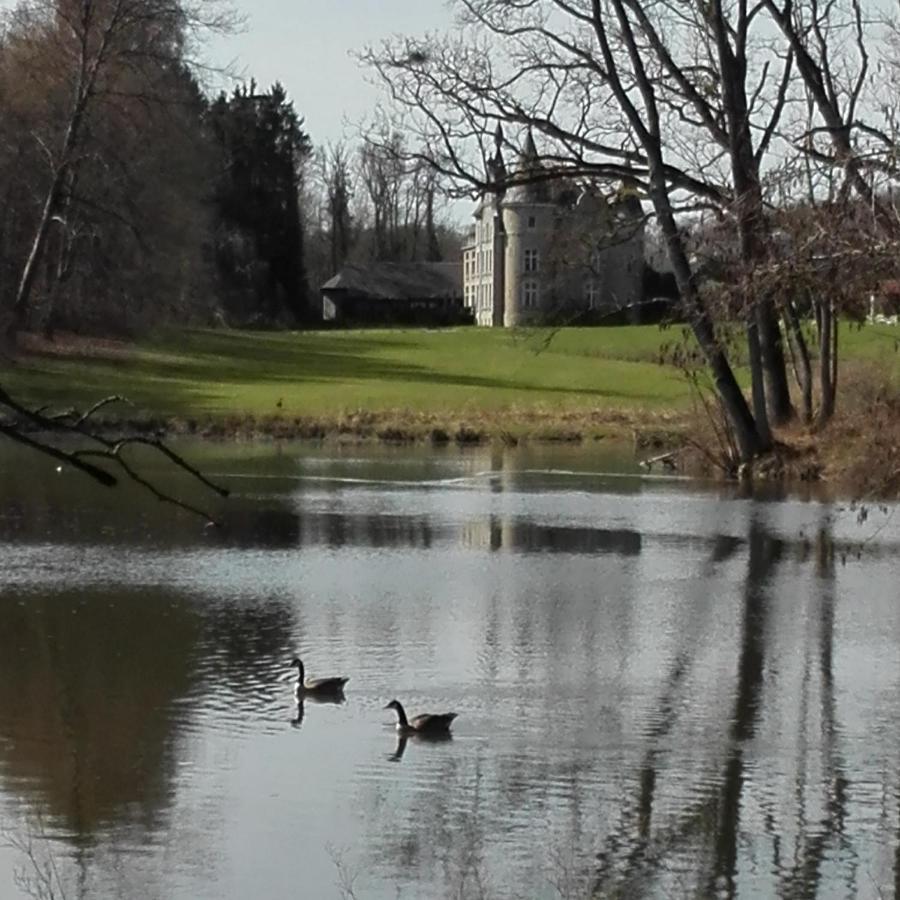 Chateau D'Hassonville Aye Bagian luar foto