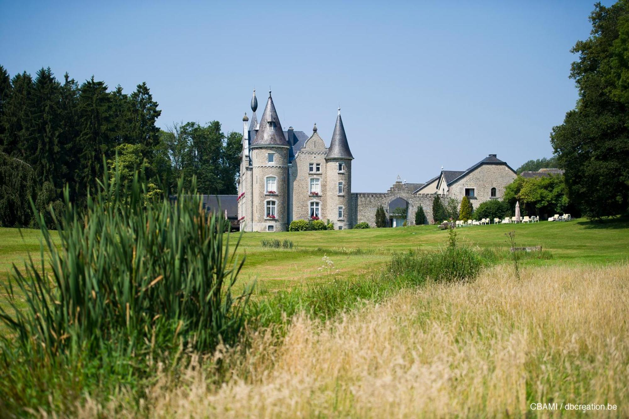 Chateau D'Hassonville Aye Bagian luar foto
