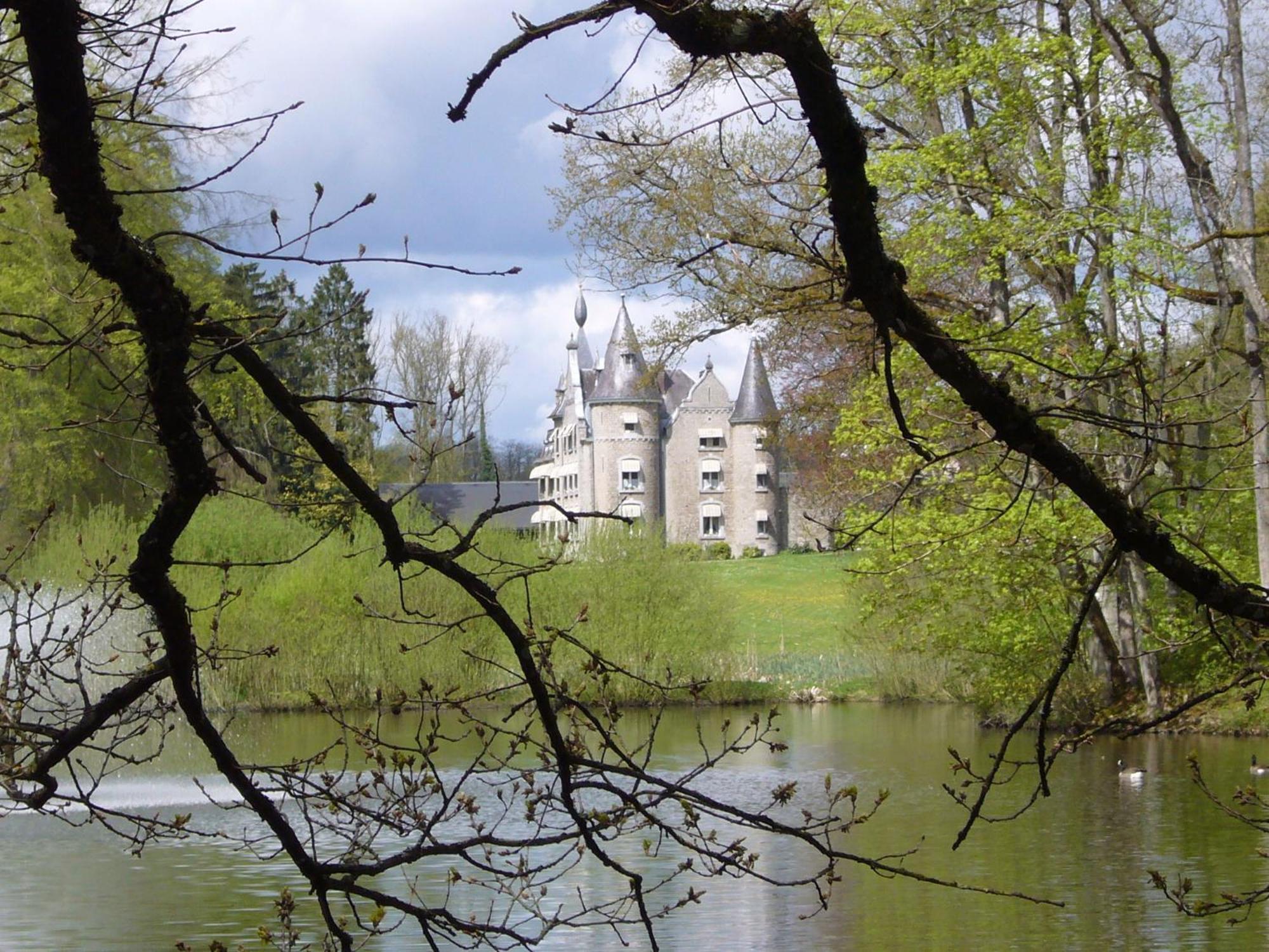 Chateau D'Hassonville Aye Bagian luar foto